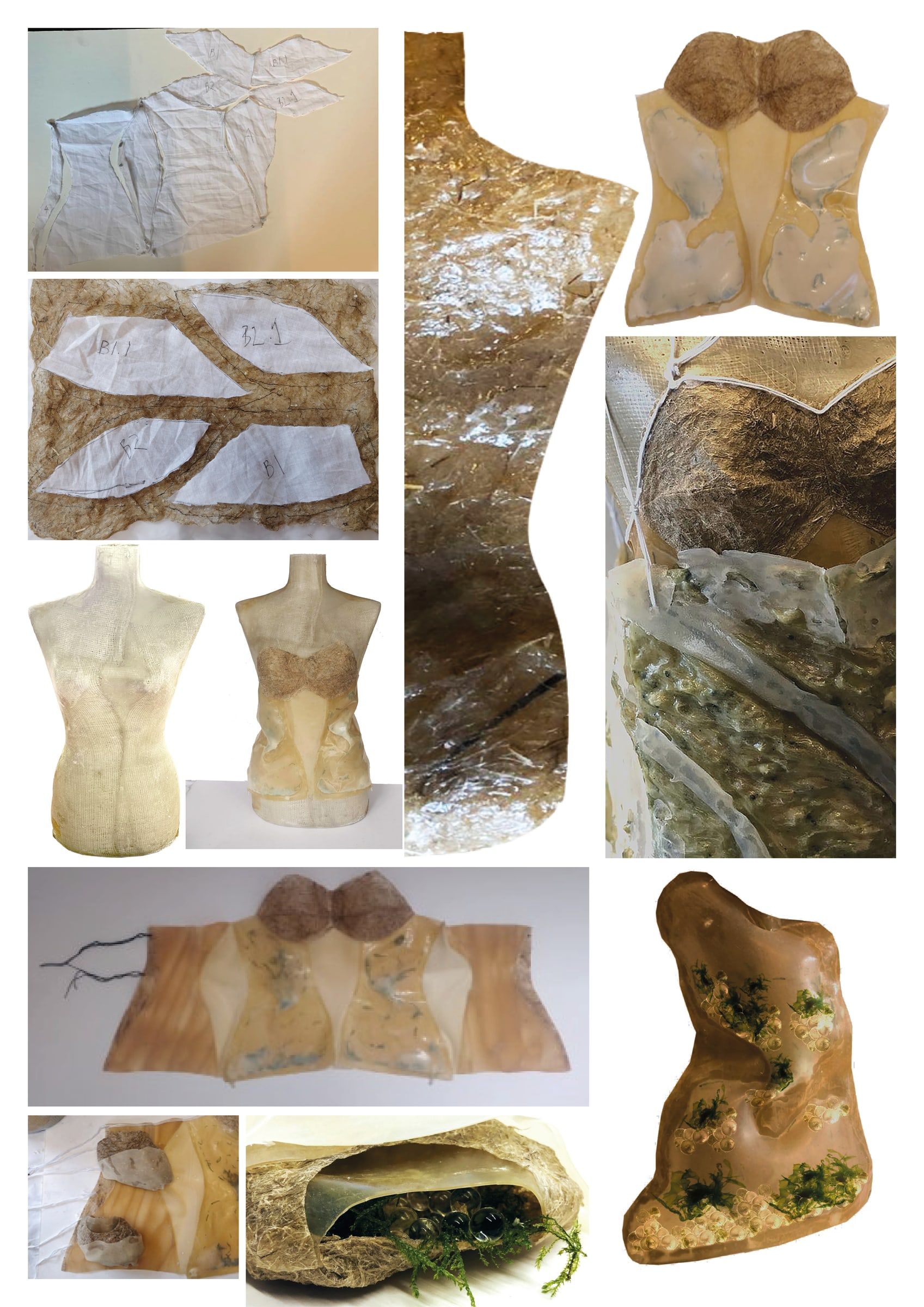 Corps et Architecture — Recherche