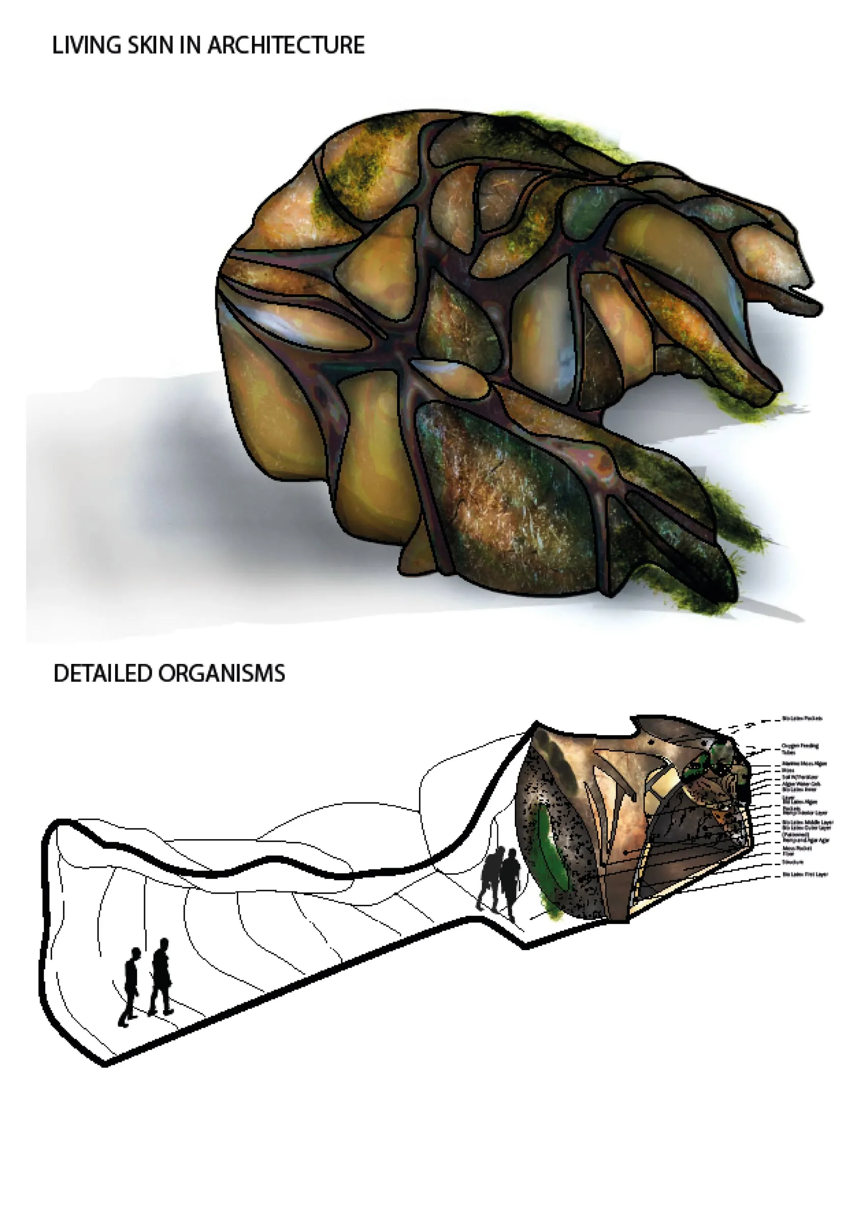 Corps et Architecture — Digitalisation — Création d’un moule