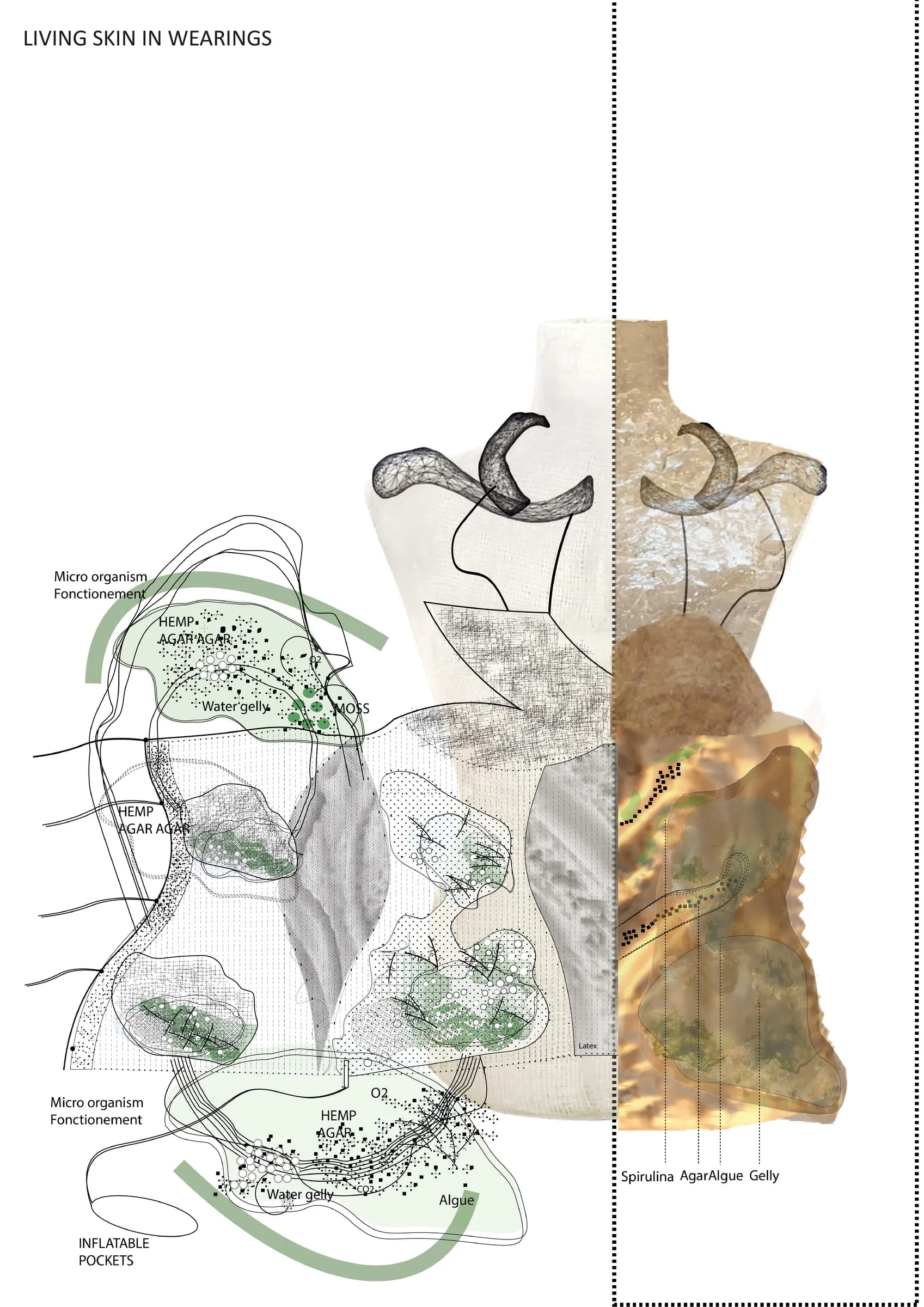 Corps et Architecture — Body to Architecture