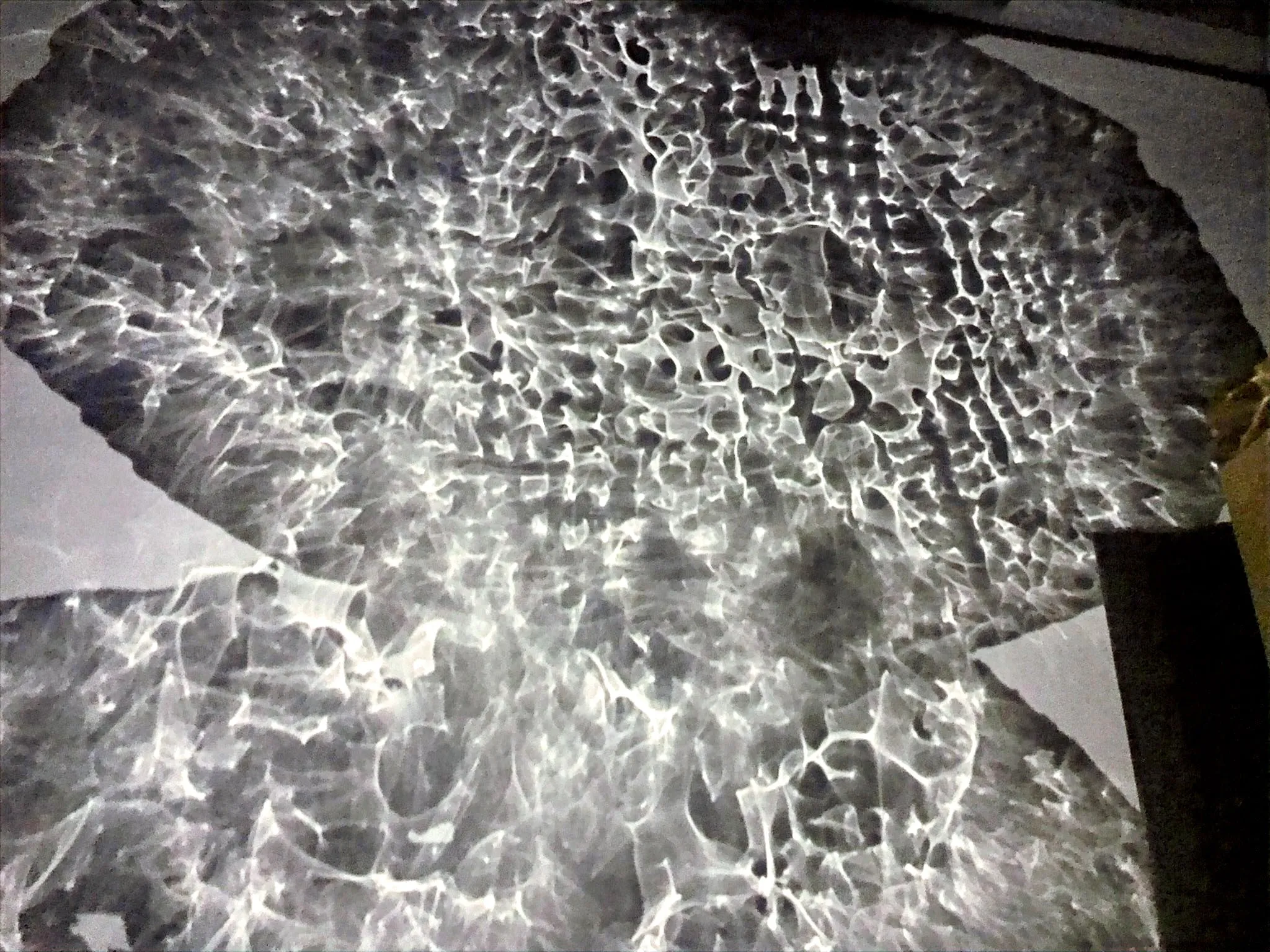 Polypholies — Installation lumineuse