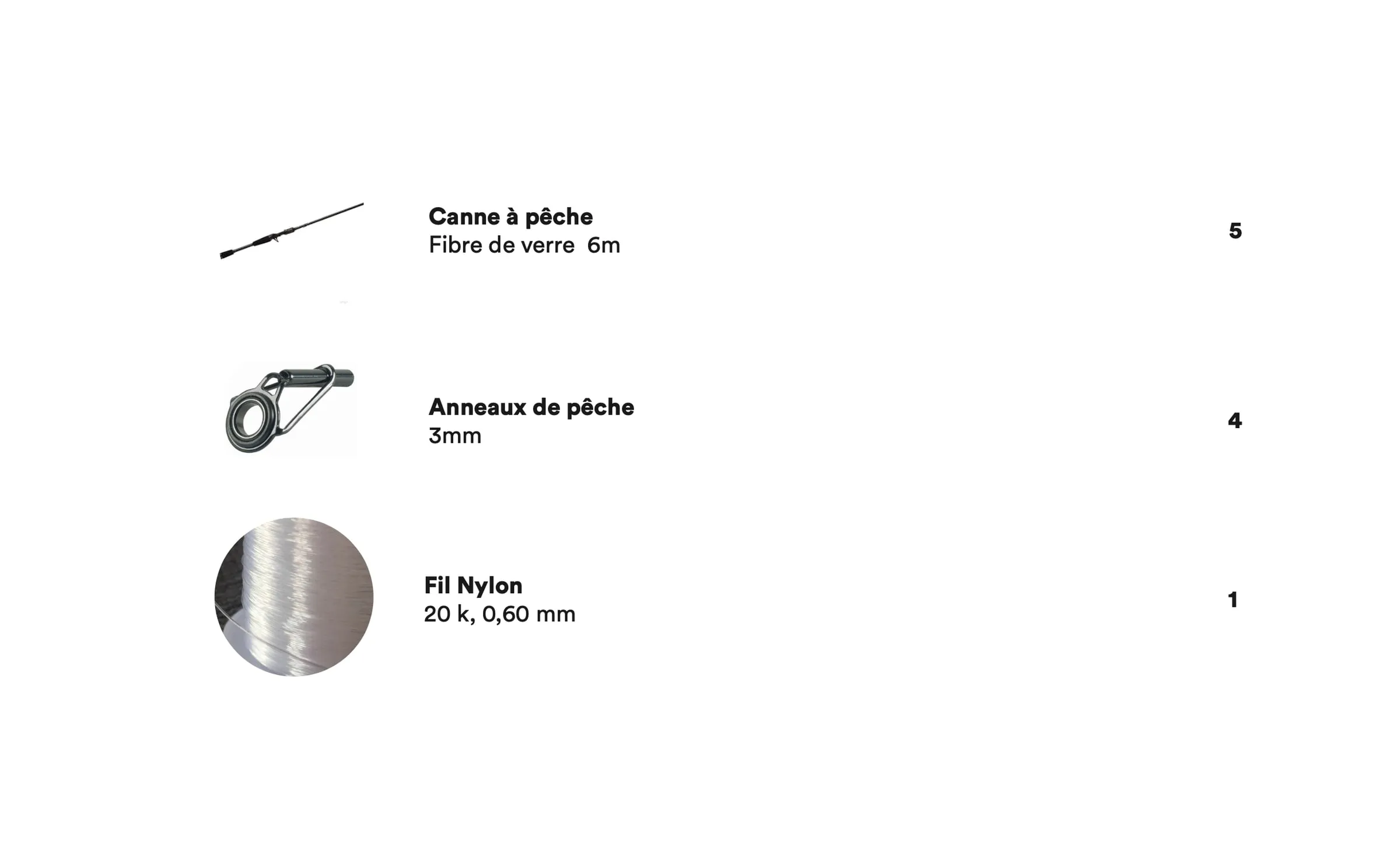 Polypholies — Processus