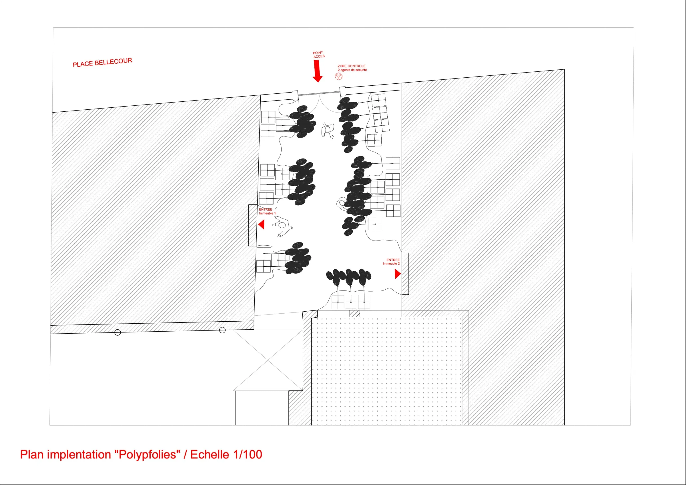 Polypholies — Processus