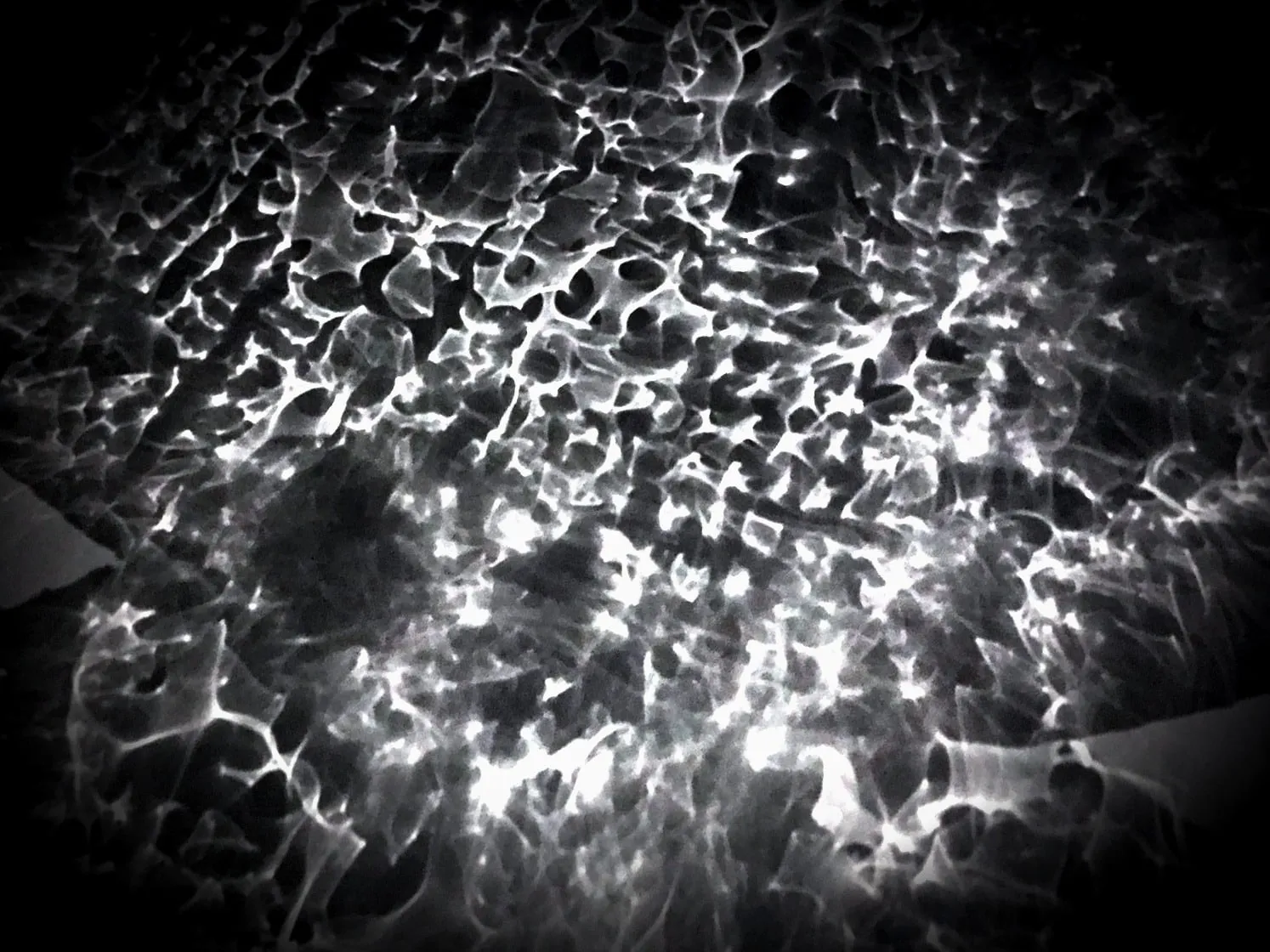 Polypholies — Effet Résultat