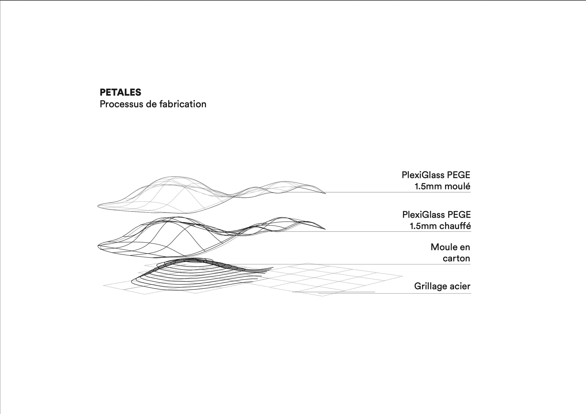 Polypholies — Fiche technique